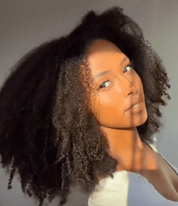 4b Natural Hair Texture