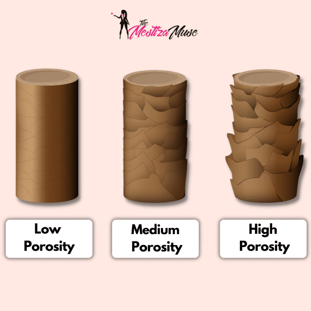 Image of hair cuticle showing low porosity, medium porosity, and high porosity. Discover the Most Beneficial Oils for High Porosity Hair.