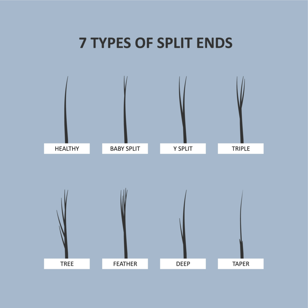 How To Repair Split Ends On Curly Hair