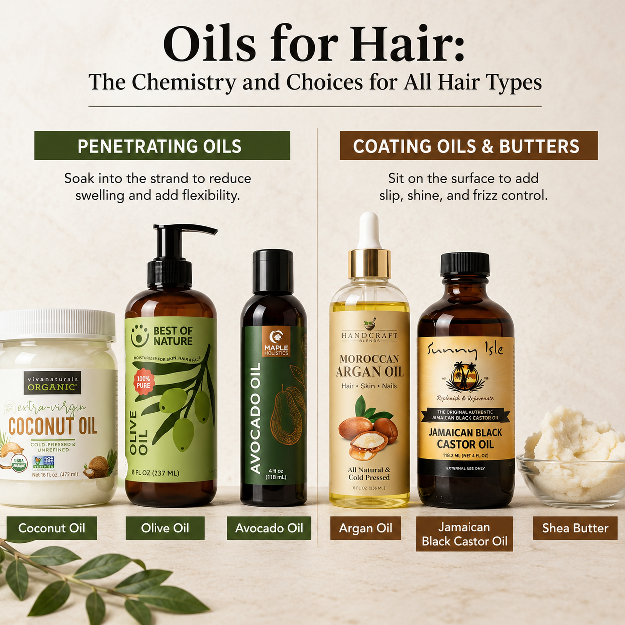 Infographic comparing penetrating oils and coating oils for hair, showing coconut, olive, and avocado oils alongside argan oil, Jamaican black castor oil, and shea butter, with explanations of how each interacts with the hair fiber.