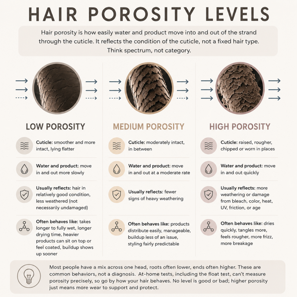 Infographic comparing low, medium, and high porosity hair by the condition of the cuticle.